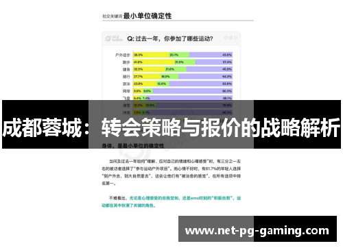 成都蓉城：转会策略与报价的战略解析