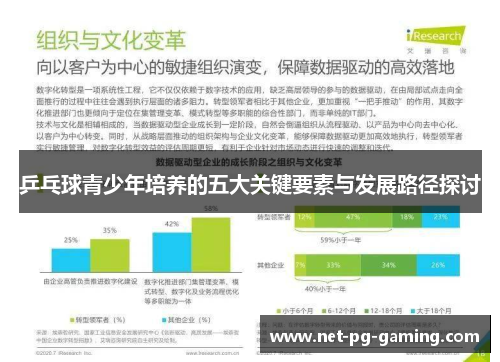 乒乓球青少年培养的五大关键要素与发展路径探讨