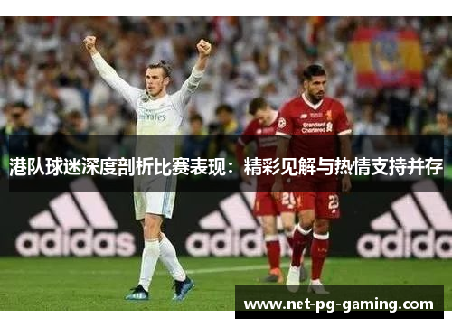 港队球迷深度剖析比赛表现：精彩见解与热情支持并存