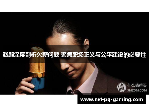 赵鹏深度剖析欠薪问题 聚焦职场正义与公平建设的必要性