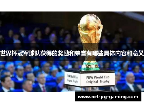 世界杯冠军球队获得的奖励和荣誉有哪些具体内容和意义