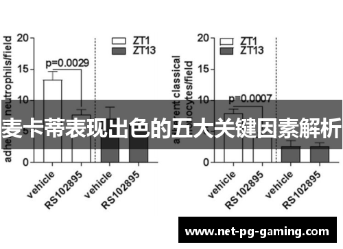 麦卡蒂表现出色的五大关键因素解析