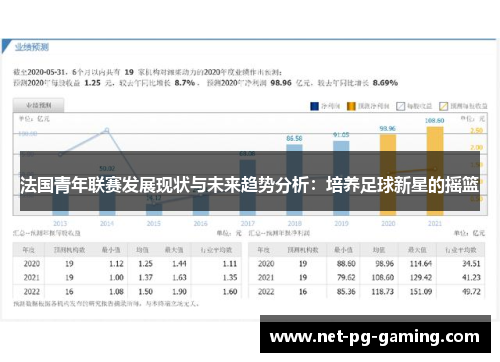 法国青年联赛发展现状与未来趋势分析：培养足球新星的摇篮