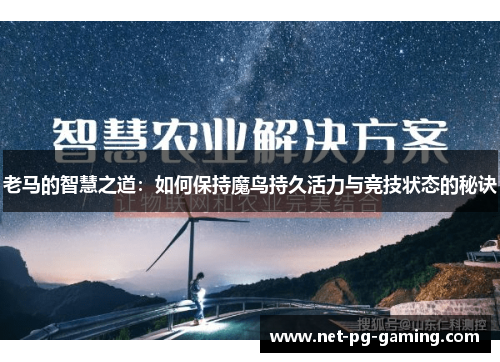 老马的智慧之道：如何保持魔鸟持久活力与竞技状态的秘诀